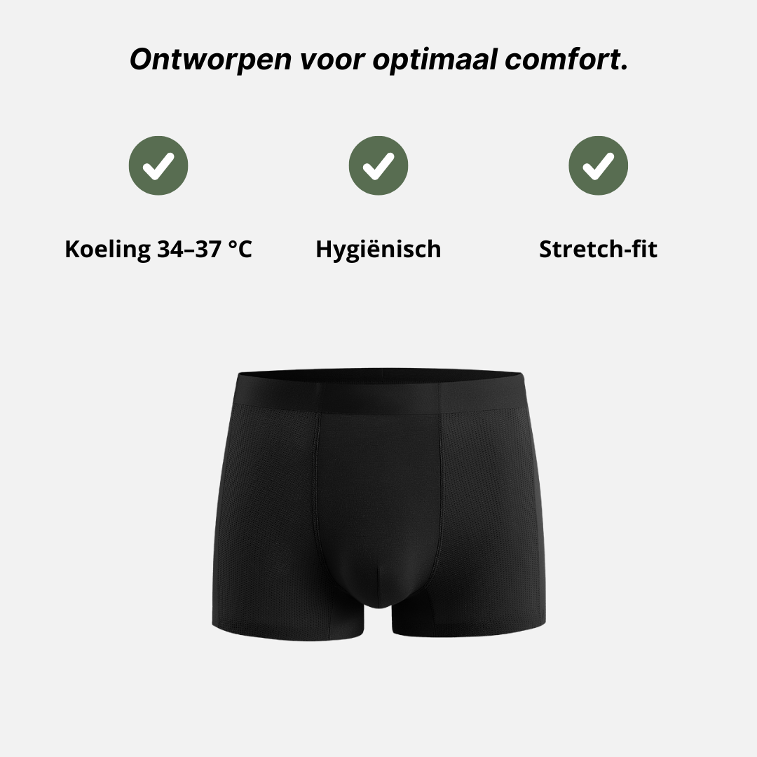 Midnight Black 3-Pack